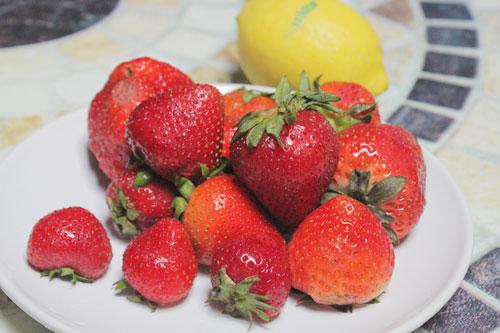 Chọn dâu tây tươi, chín.