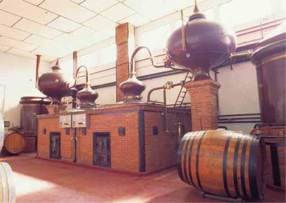 chưng cất rượu gin