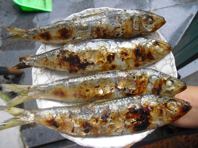 Cá trích nướng