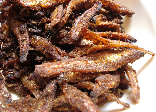 Cá anchovy