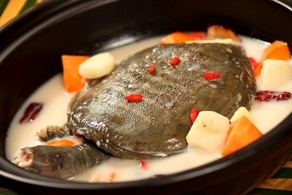 Súp rùa