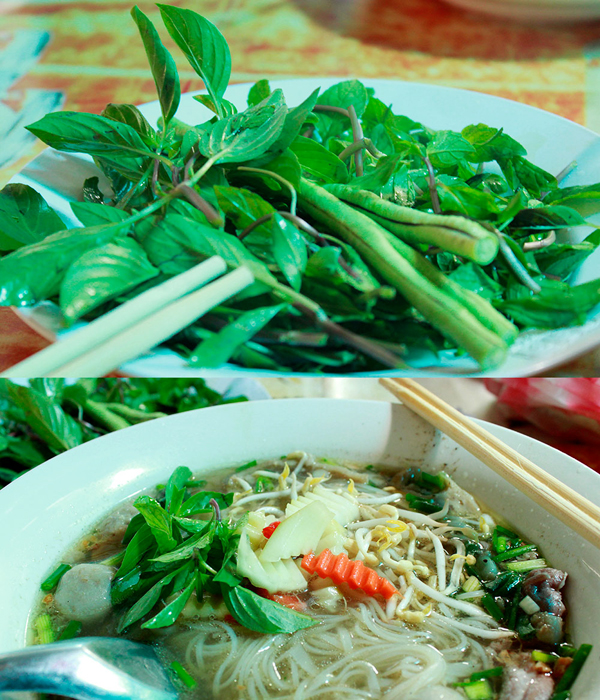 Rau sống