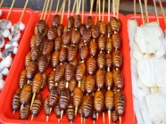 Nhộng tằm