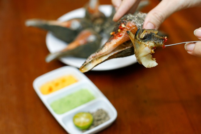 Ốc mỏ vịt