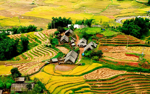 Sapa 
