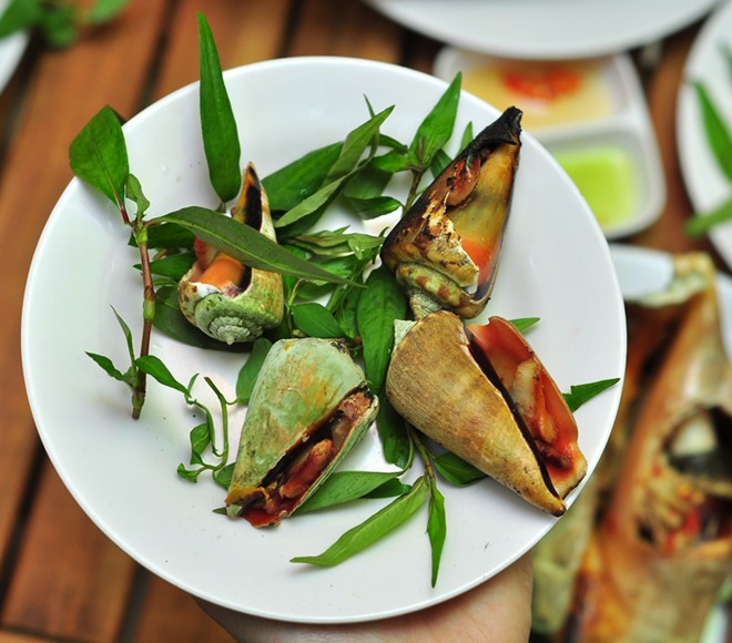 Ốc nhảy đỏ