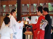 Đám cưới ở Nhật Bản
