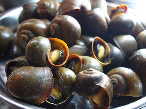 Ốc luộc