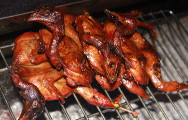 Quyến rũ chim nướng phố Tạ Hiện