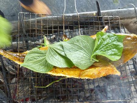 Món ngon Hội An: Cá chai nướng lá lốt