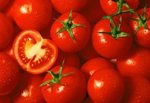 tomatoe-vine-760-1378358131.jpg