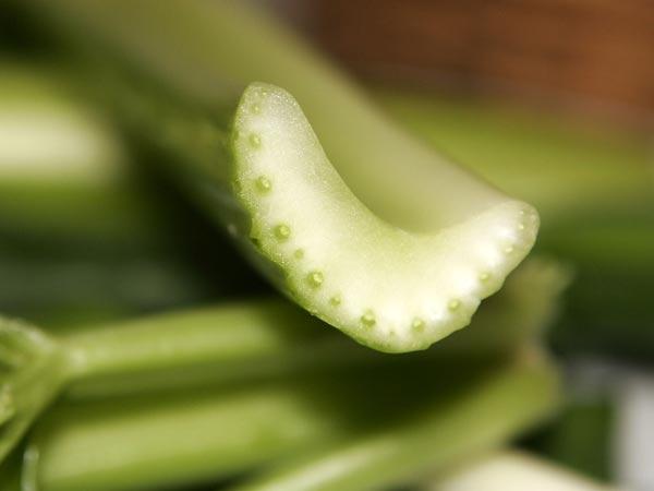 8 món low carb phù hợp khi đi du lịch 3