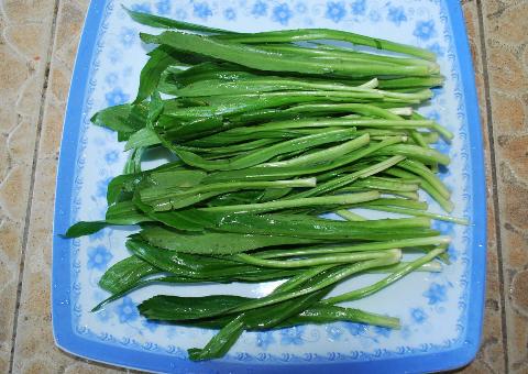 Mùi tàu