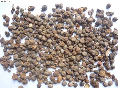 9 dược liệu Đông y có lợi cho bà bầu - 5