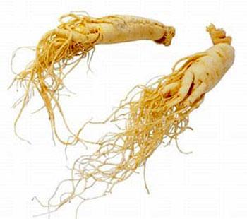 Bà bầu nên cẩn thận khi dùng "sâm"