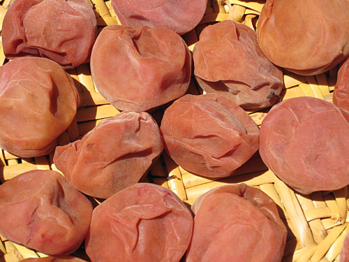 Mơ khô