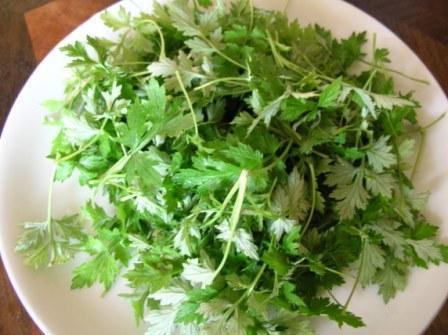 Ngài cứu có tốt cho bà bầu?