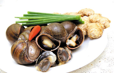 Công dụng chữa bệnh từ Ốc nhồi