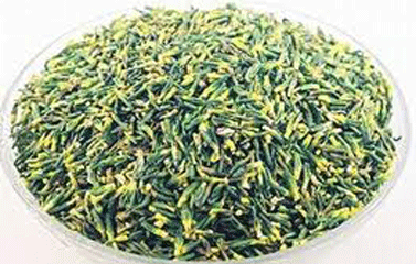 Bài thuốc quý từ tâm sen