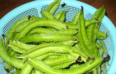 Món ăn vị thuốc từ đậu rồng
