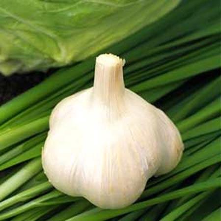 6 thực phẩm “đối đầu” với ô nhiễm