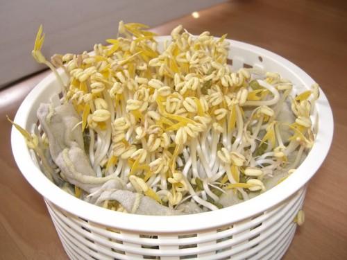 Nhung ke giet nguoi kho ngo trong thuc pham
