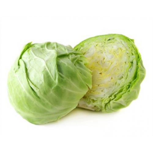 Bắp cải
