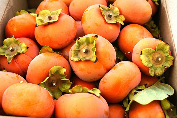 Hồng ngâm