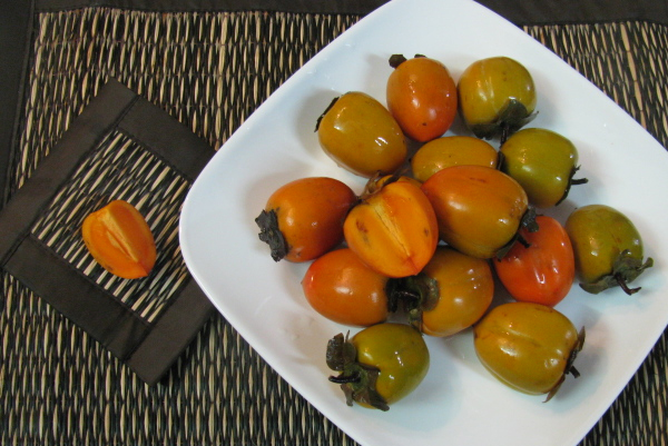 Hồng ngâm 2