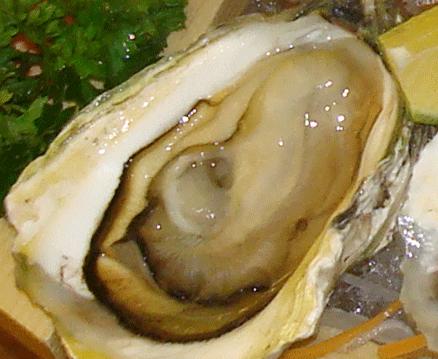 hàu sống