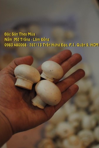 Nấm Mỡ Trắng 500gr